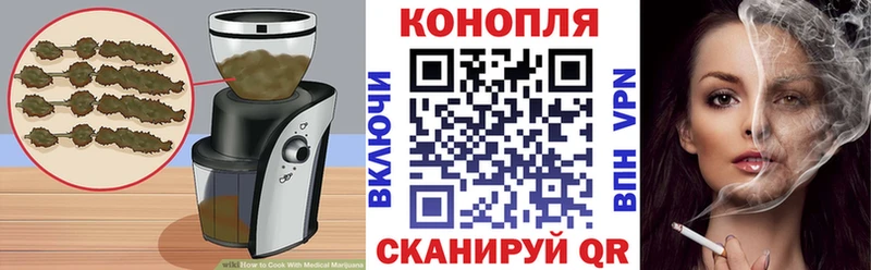 Canna-Cookies конопля  сколько стоит  Осинники 