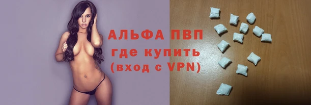 сатива Магас