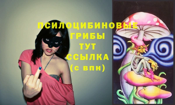 сатива Магас