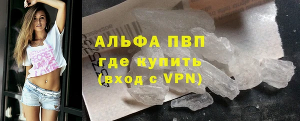 сатива Магас