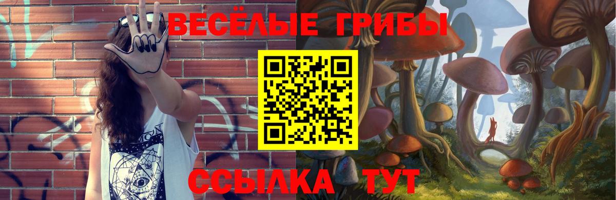 Осинники  Галлюциногенные грибы Cubensis  Вход с VPN  Галлюциногенные грибы GOLDEN TEACHER 