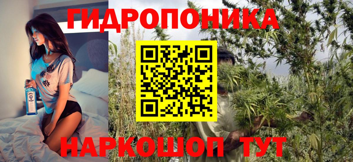 Бошки Шишки гибрид  Вход с VPN  Шишки марихуана Amnesia  Осинники 
